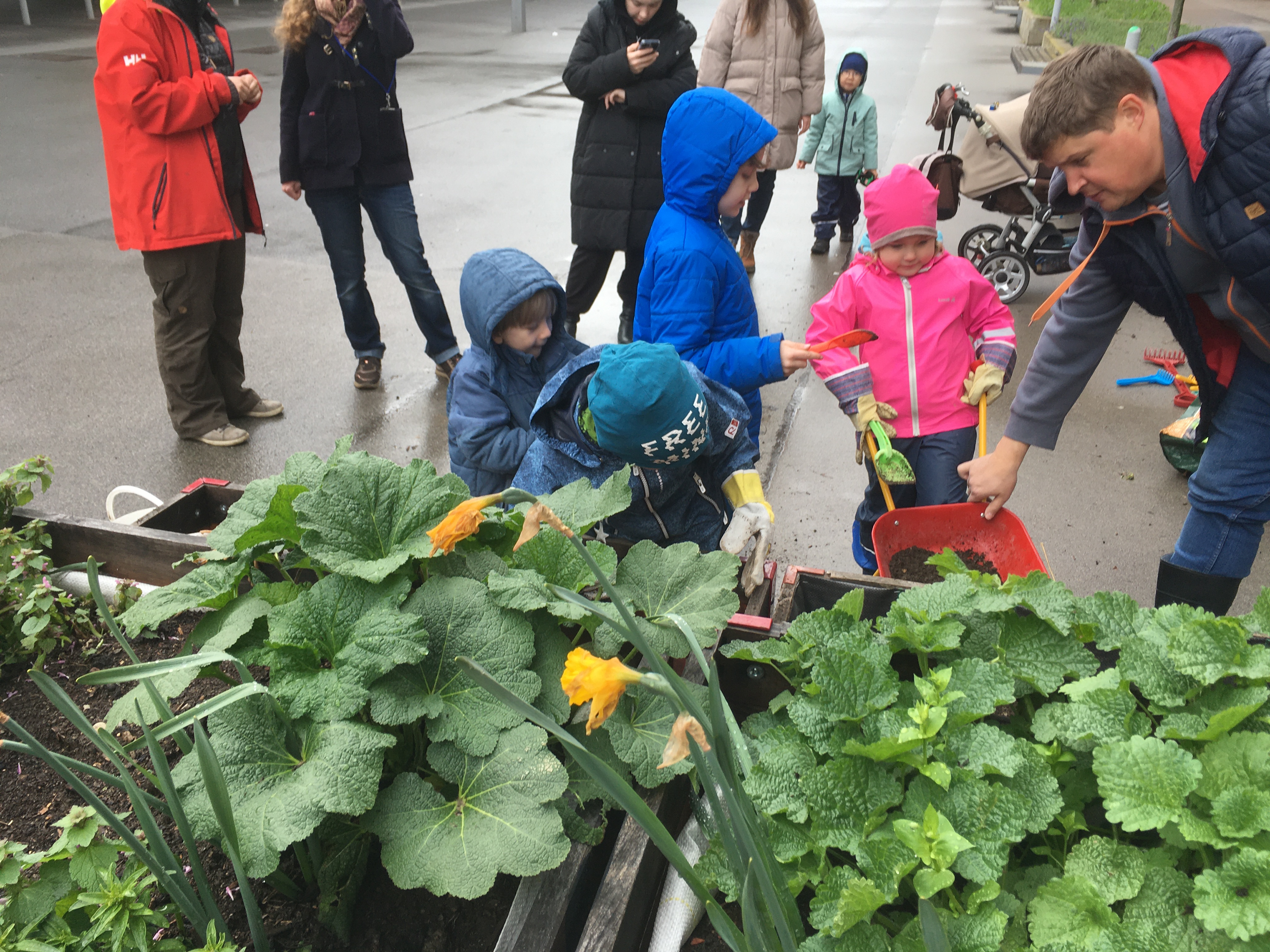 Kinder im Gemeinschaftsgarten