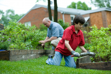 Mann und Junge arbeiten im Garten